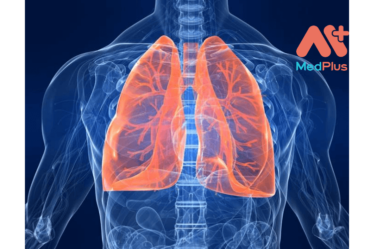 Ngưng hút thuốc lá và 1 số mốc thời gian sau đó 142 Ngung hut thuoc la 3 - Medplus