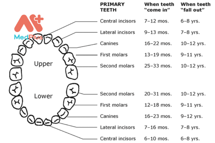 Hiểu biết để chăm sóc răng cho trẻ em tốt hơn
