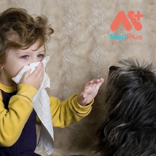 Triệu chứng dị ứng vật nuôi