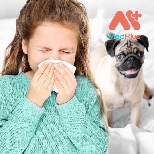 Dị ứng vật nuôi