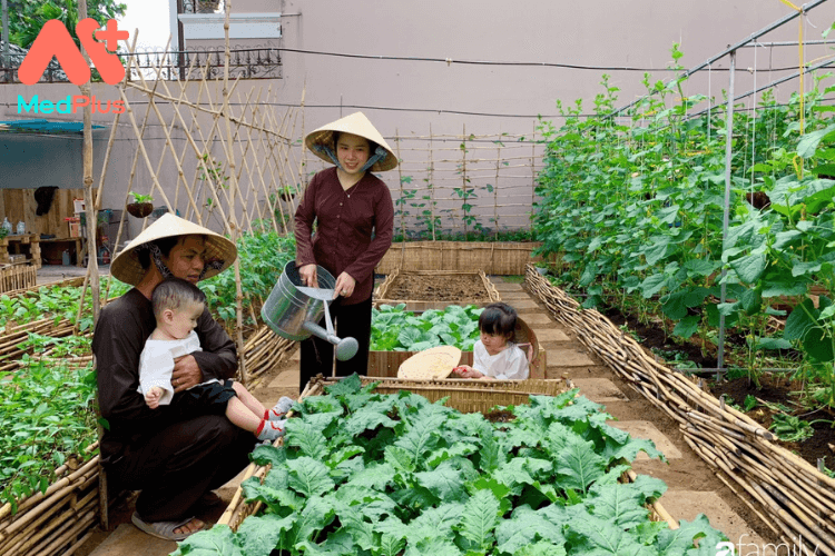 Lợi ích của làm vườn gia đình 139 Lợi ích của làm vườn gia đình