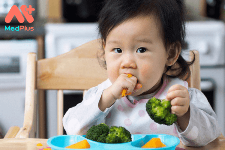 Phương pháp ăn dặm BLW cho trẻ