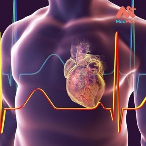 Bệnh tim là bệnh lý thường gặp, có thể để lại hậu quả nghiêm trọng thậm chí ảnh hưởng tính mạng của người bệnh.