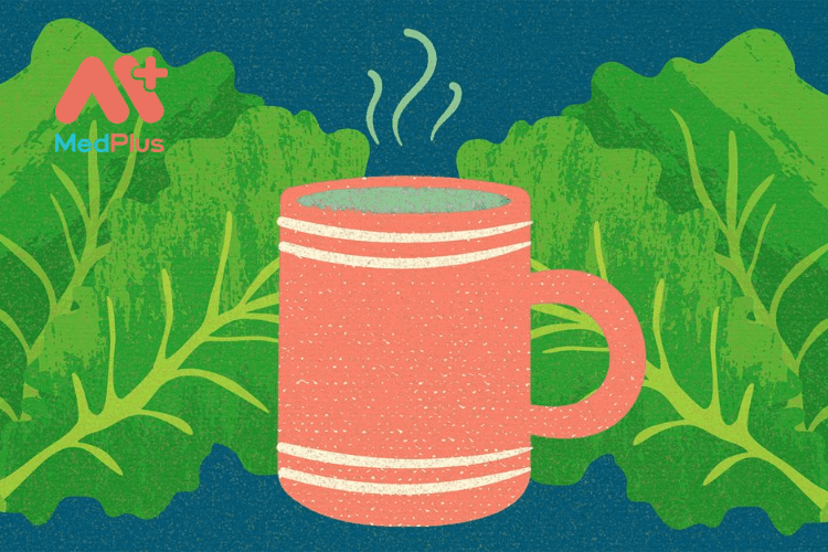 Nước Rau Diếp Có Thực Sự Giúp Bạn Ngủ Ngon?