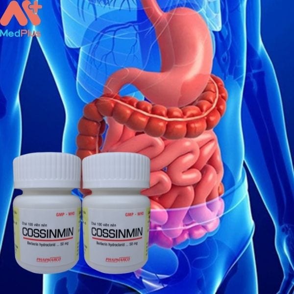 Thuốc Cossinmin 50mg điều trị một số bệnh lý về đường ruột