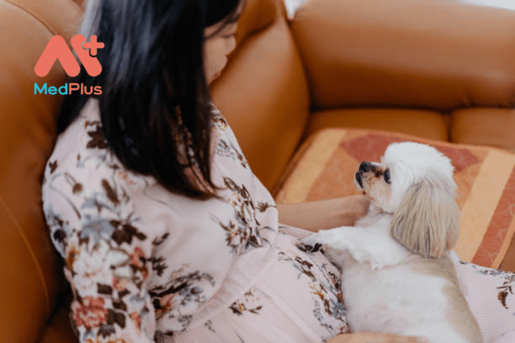 Chú chó của bạn biết bạn mang thai trước cả bạn? 133 Chó với những giác quan nhạy bén có thể đoán được bạn đang mang thai