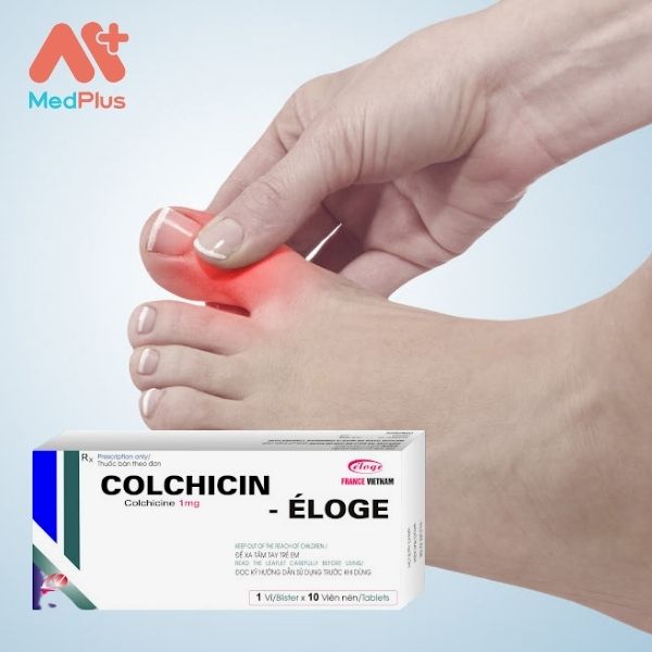 Thuốc Colchicin Éloge điều trị và phòng tái phát bệnh Gout
