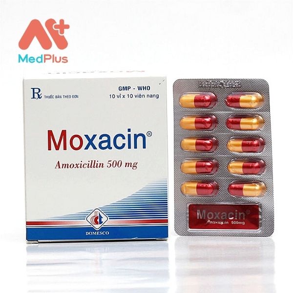 Thuốc Moxacin 500mg trị nhiễm khuẩn do vi khuẩn nhạy cảm