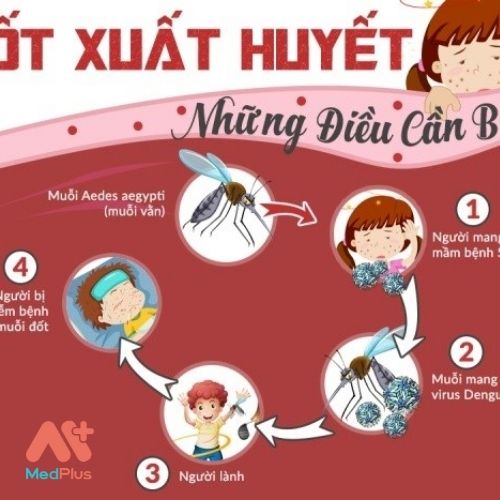 Sốt xuất huyết do vi rút