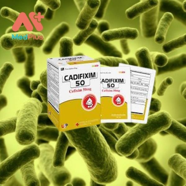 Thuốc Cadifixim 50 điều trị nhiễm khuẩn hiệu quả