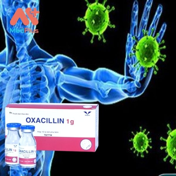 Thuốc Oxacillin 1g: kháng sinh dạng bột pha tiêm 127 thuoc khang sinh oxacillin 1g dang bot pha tiem - Medplus
