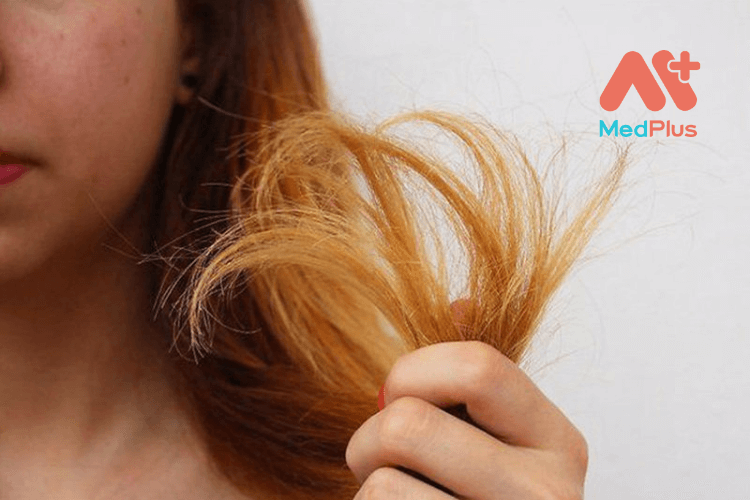 7 cách phục hồi tóc khô xơ nhanh chóng tại nhà