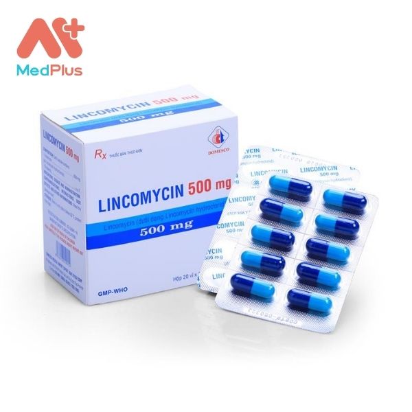 Thuốc Licomycin 500mg giúp kháng viêm, điều trị nhiễm khuẩn