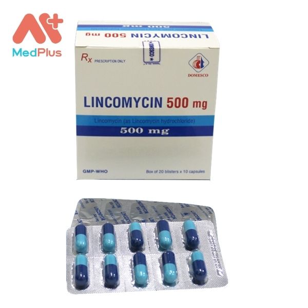 Hình ảnh minh họa cho thuốc Lincomycin 500mg