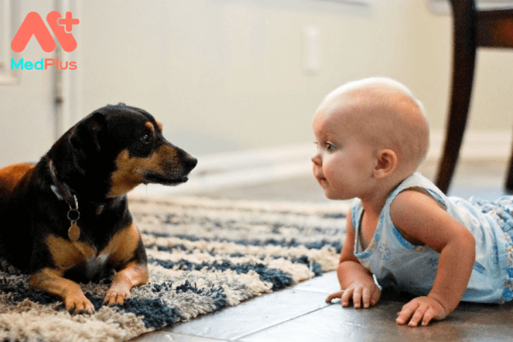 6 cách giúp bé nhận biết vật nuôi trong nhà