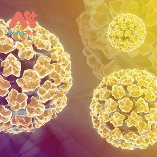 Các loại HPV gây ra mụn cóc sinh dục và ung thư cổ tử cung có thể được quản lý nhưng không thể chữa khỏi.