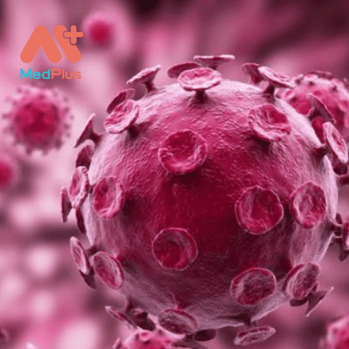 Có hơn 100 loại vi rút gây u nhú ở người (HPV)