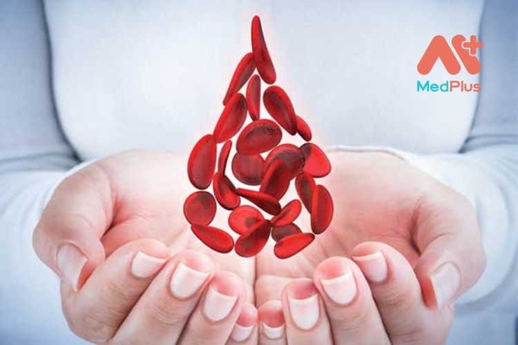 thực phẩm thanh lọc máu an toàn