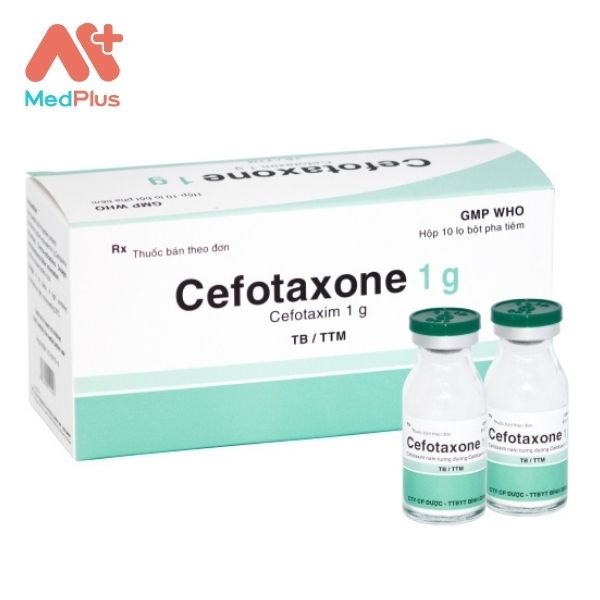 Thuốc Cefotaxone 1g dạng bột pha tiêm điều trị nhiễm khuẩn