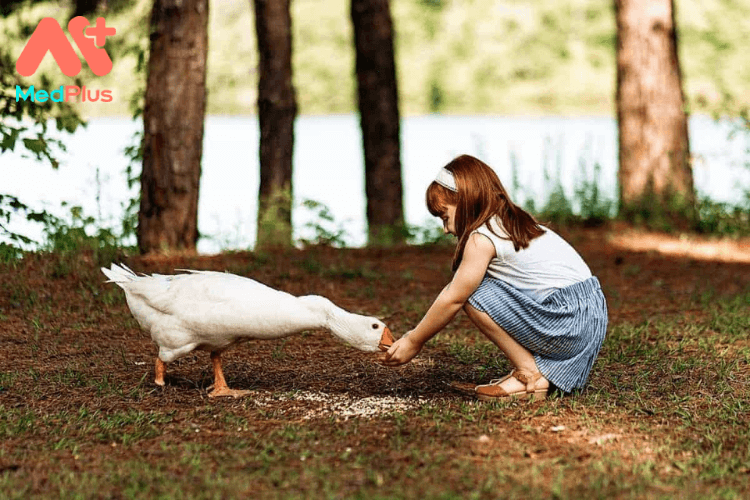 Trò chơi thúc đẩy suy nghĩ cho trẻ 3-6 tuổi