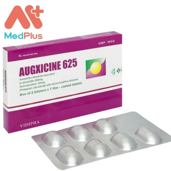 Augxicine 625 - Điều trị Amidan, viêm phế quản