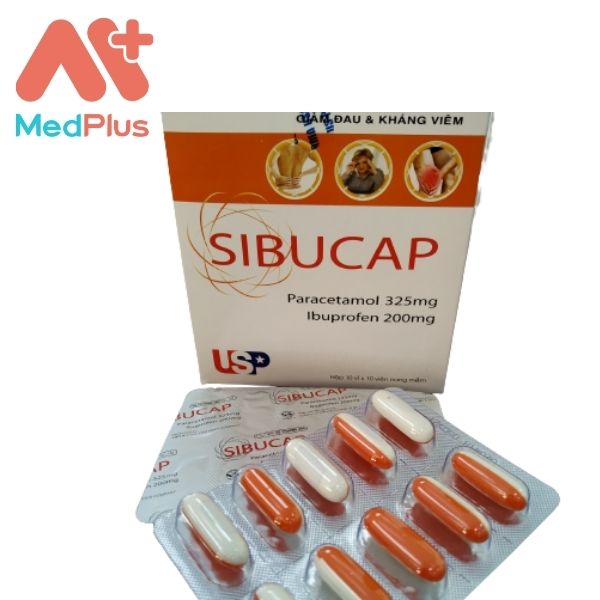 Sibucap - Trị các bệnh về cơ xương khớp