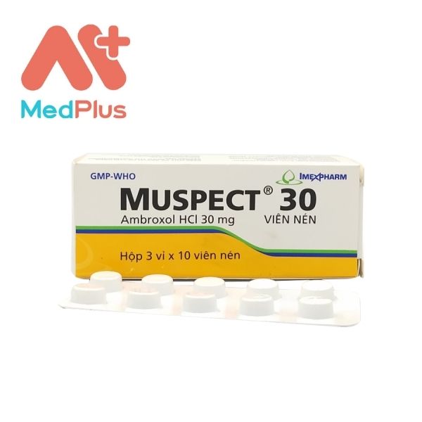 Muspect 30 - Thuốc trị viêm phế quản 