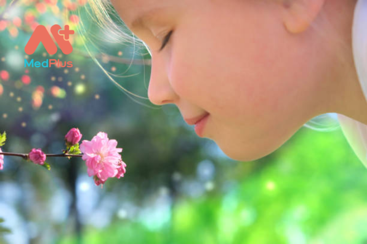 Mũi của trẻ giúp hình thành ký ức