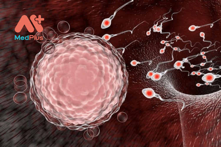 xem tivi 2 1 - Medplus