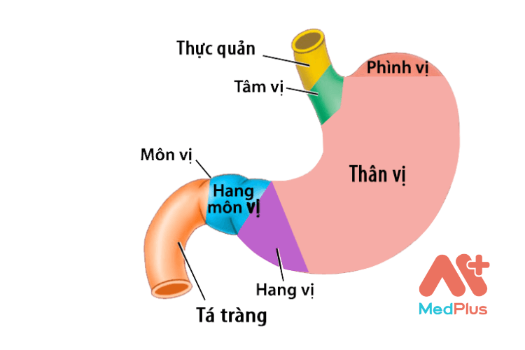 viem trot hang vi da day 1 - Medplus