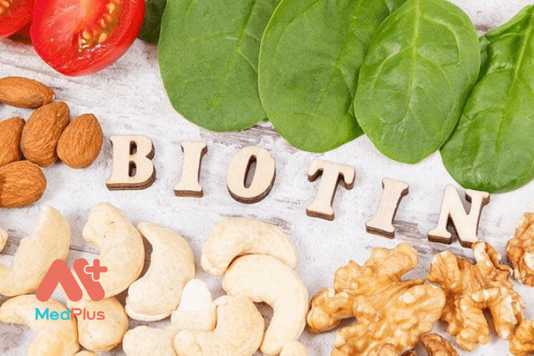 Top 10 bài viết về thực phẩm giàu biotin hữu ích nhất 2022