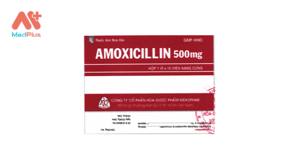Tổng hợp 8 bài viết về thuốc Amoxicillin hay nhất năm 2022