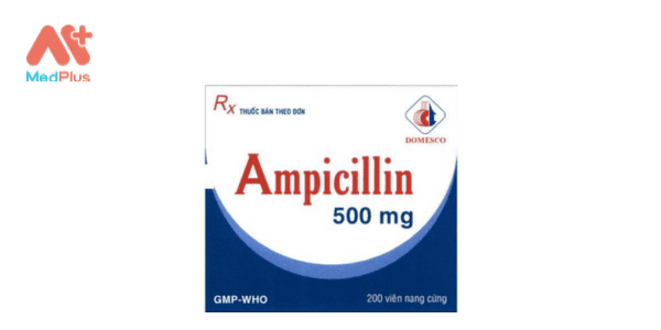 Top 8 bài viết về thuốc Ampicillin hiệu quả nhất năm 2022