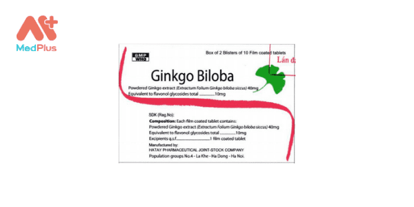 Top 8 bài viết về thuốc Ginkgo Biloba hay nhất năm 2022