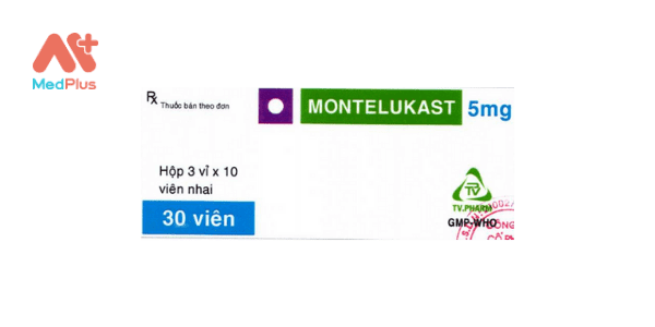 Top 8 bài viết về thuốc Montelukast hiệu quả nhất năm 2022