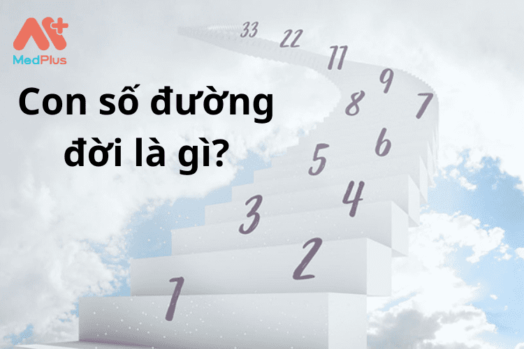 Con Số Đường Đời là gì_ Cách tính con số đường đời