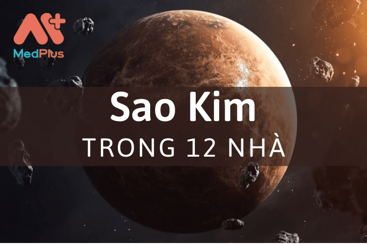 Giải mã ý nghĩa của Sao Kim đối với 12 nhà trong chiêm tinh học