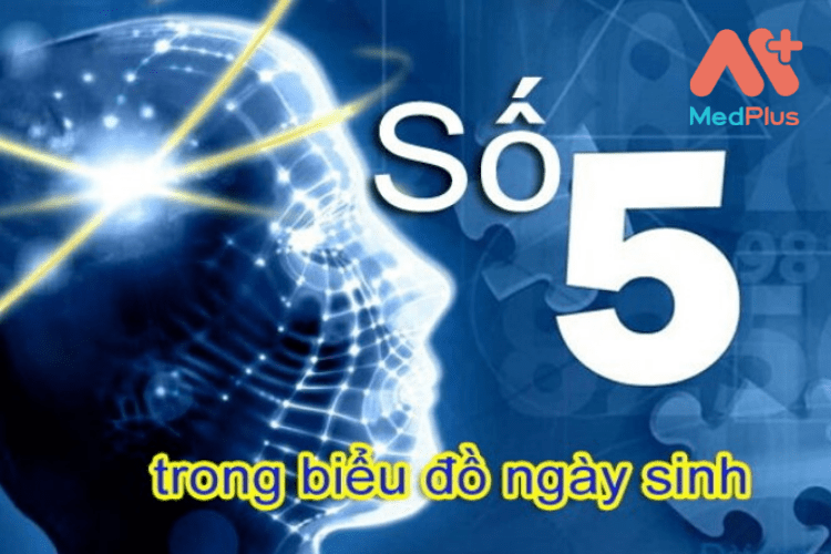 Ý nghĩa số 5 trong biểu đồ ngày sinh