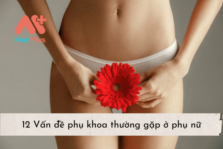 12 Vấn đề phụ khoa thường gặp ở phụ nữ