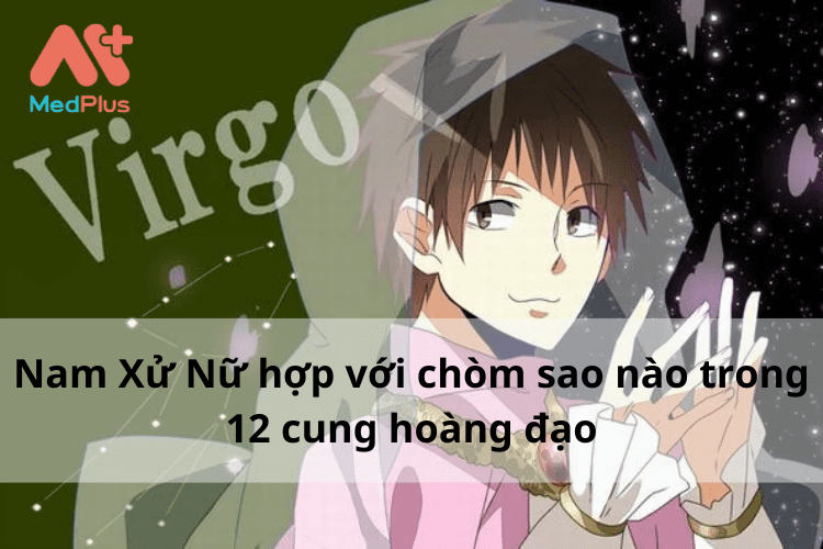 Nam Xử Nữ “Hợp” với chòm sao nào nhất [2022]