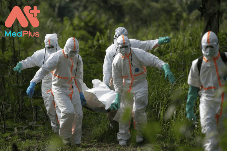 Ebola TOP 10 bai viet dang theo doi 2022 - Medplus