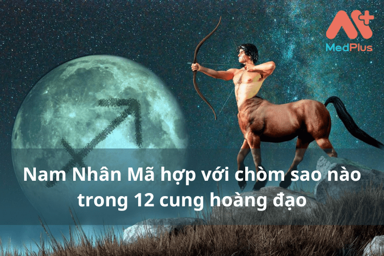 Nam Nhân Mã “Hợp” với chòm sao nào nhất [2022]