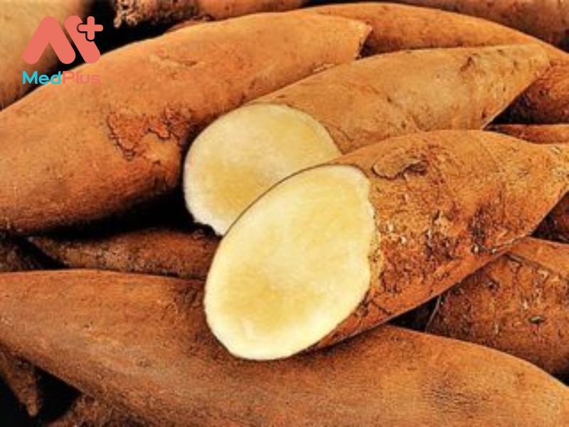 Top 5 bài viết về lợi ích dược liệu Sâm đất năm 2022