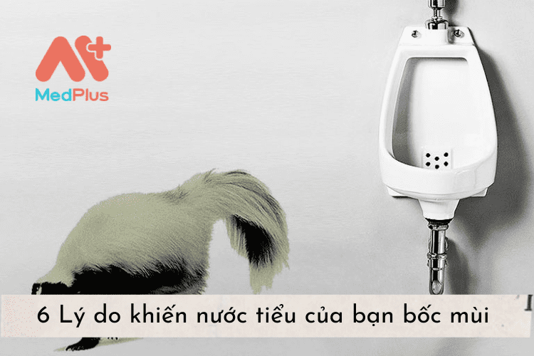 6 Lý do khiến nước tiểu của bạn bốc mùi 