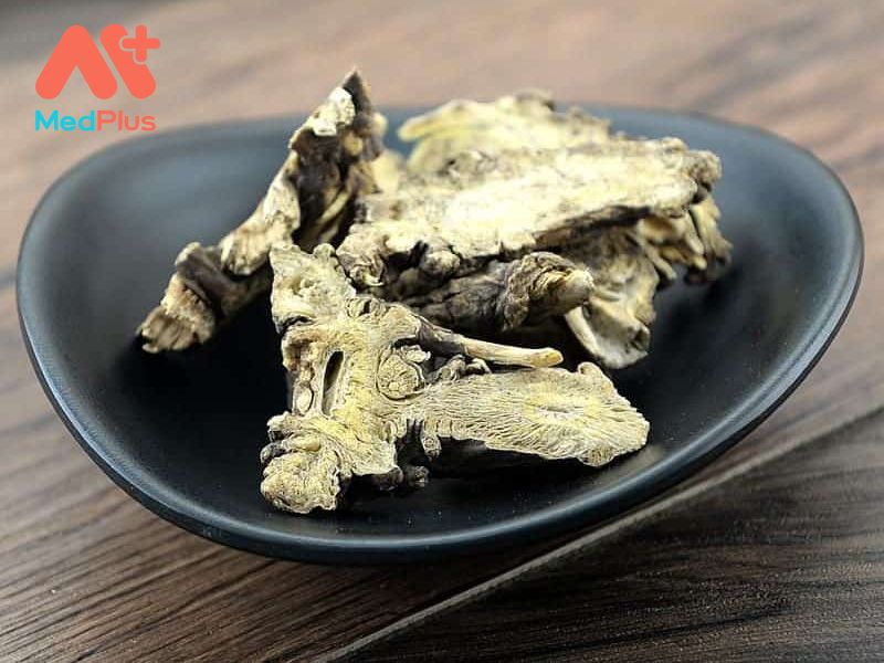 Cảo Bản | Cách Dùng Và Bài Thuốc Chữa Bệnh Từ Dược Liệu 129 Cảo Bản | Cách Dùng Và Bài Thuốc Chữa Bệnh Từ Dược Liệu