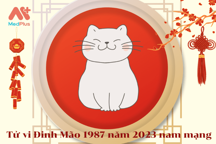 Tử vi Đinh Mão 1987 năm 2023 nam mạng
