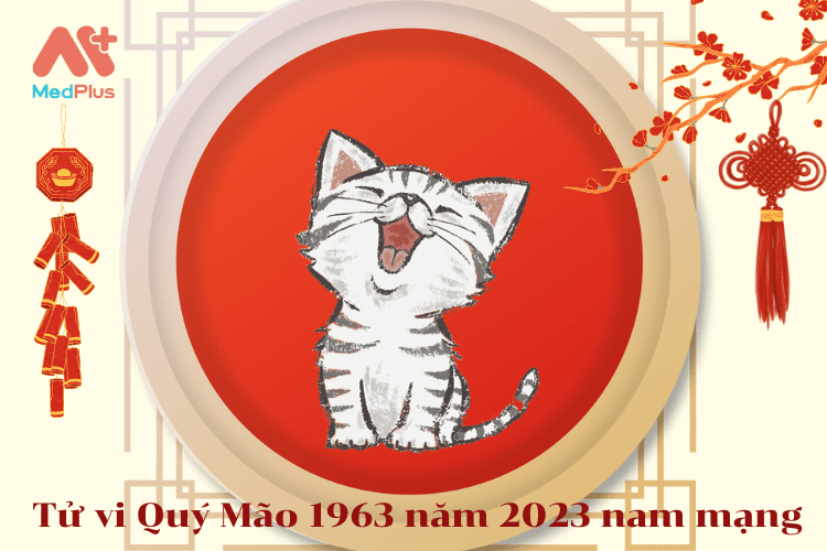 Tử vi Quý Mão 1963 năm 2023 nam mạng