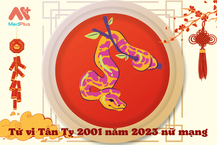 Tử vi Tân Tỵ 2001 năm 2023 nữ mạng