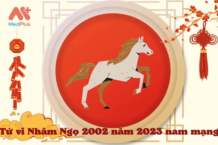 Xem Tử Vi Tuổi Nhâm Ngọ 2002 Năm 2023 Nam Mạng