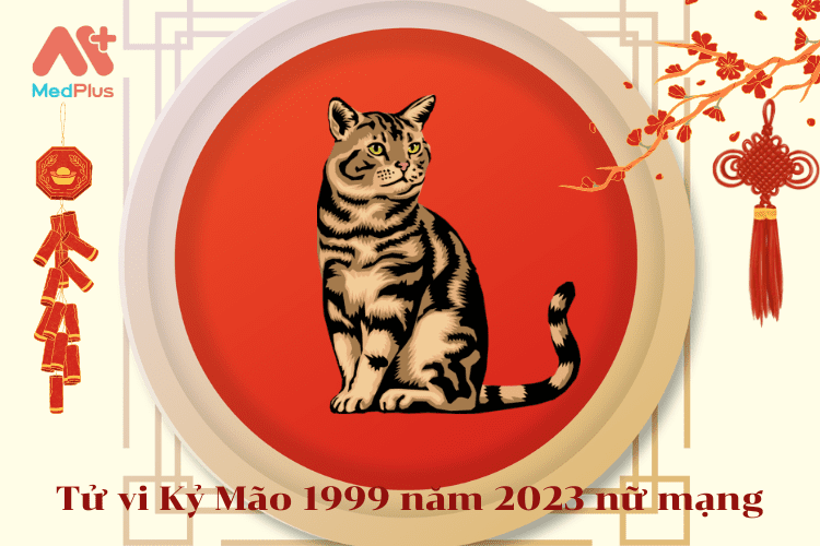 Tử vi Kỷ Mão 1999 năm 2023 nữ mạng